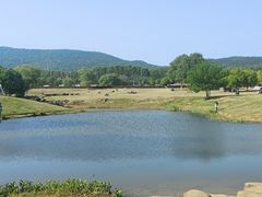 -钟山体育运动公园