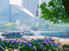 -北外滩滨江绿地