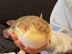 -永安鱼庄·镇江菜(东吴路店)