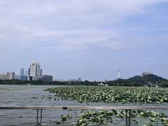 -月湖风景区