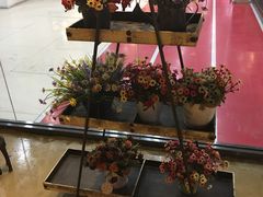 -长藤鬼校(千禧店)