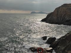 -广东惠东海龟国家级自然保护区