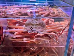 -丰卓会海鲜自助(中润大道店)