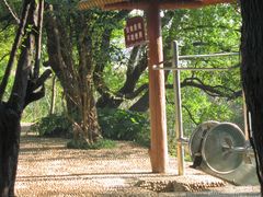 -东湖落雁景区