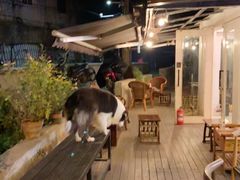 -餐酒吧Com-ing Bar(上海路店)