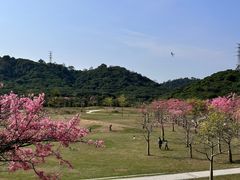 -风云岭森林公园