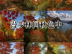 -四明山国家森林公园