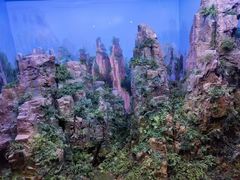 -重庆自然博物馆(新馆)