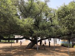 -秦皇岛野生动物园