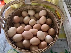 -马陆小张葡萄园农家乐