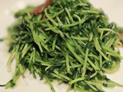 鸡油腊味炒豆苗-潮界(LU·ONE凯德晶萃广场店)