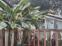 -柠檬花院烤肉·围炉煮茶·草坪团建·生日派对(三圣乡店)