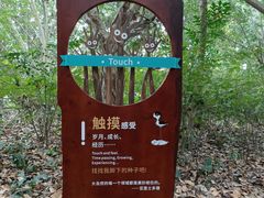 -华侨城湿地公园