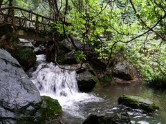 -宁波九龙湖开元度假村