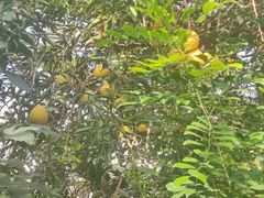 -北京植物园-展览温室