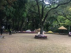 -汇龙潭