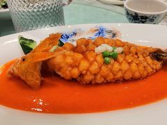 -清真马祥兴菜馆(云南北路店)