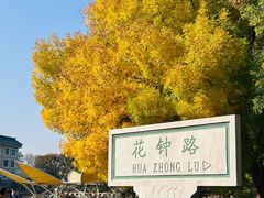 -石家庄市植物园
