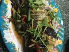 -Bờ kè Nhật Thi