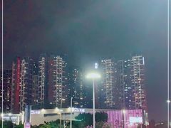 -坂田天虹