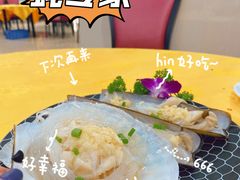 扇贝-蚝专家(北滘店)