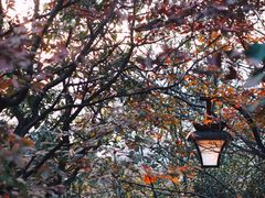 -杭州半山国家森林公园