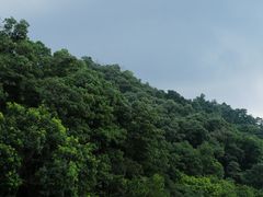 -深圳仙湖植物园