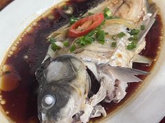 -先鲜鲫鱼粥