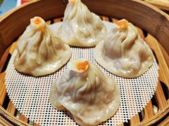 -点都德·毕德寮