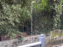 -丽泽山庄·生态怀柔菜·虹鳟鱼(红螺寺店)