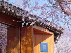 -三里河公园