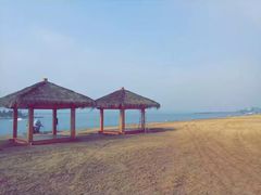 -金沙湖旅游度假区