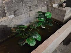 -庭院·冰煮羊·铜锅涮肉(西单店)
