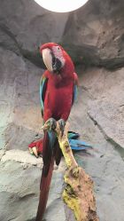 -Zoolung Zoolung动物主题公园(海信广场店)