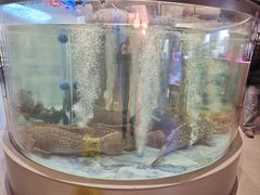 -海底捞大排档火锅(打浦路店)