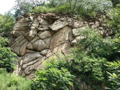 -大岭沟猕猴桃谷风景区