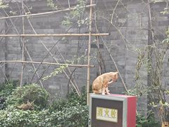 -西安大兴善寺