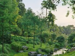 -云溪植物园