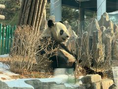 -大连森林动物园