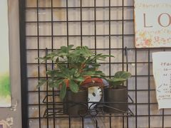 -犀牛家猪排