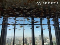 -视界美食自助餐厅·石家庄希尔顿酒店