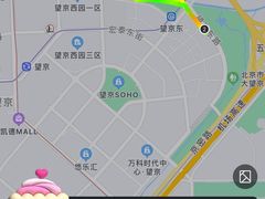-大望京公园