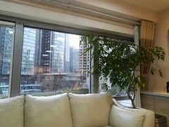 -精德口腔·种植修复·儿牙中心(财富中心店)