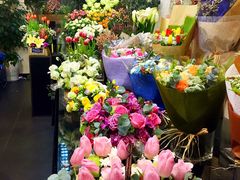 -双季花艺园艺市场(浦东店)