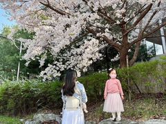-大班家政月嫂育儿嫂(深圳NO.1店)