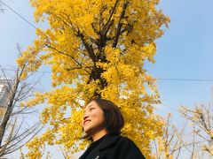 -两江幸福广场