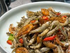 -洞庭家宴·头牌甲鱼(广渠门店)