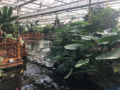 -汤山翠谷生态餐厅