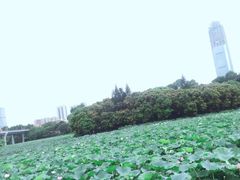 -玫瑰海岸文化旅游度假区