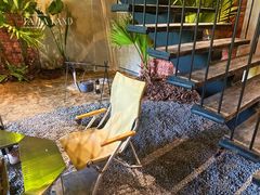 -J Create城市露营咖啡·简餐·宠物(上海动物园店)